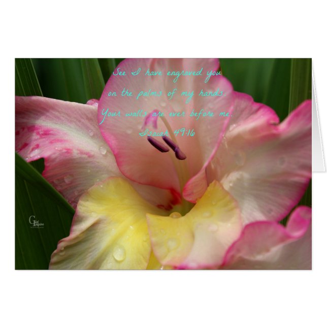 Tarjeta Isaiah 49:16 Gladiolus con gota de lluvia  (Anverso (Horizontal))