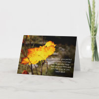 Isaías 26:3 Animación de las Escrituras