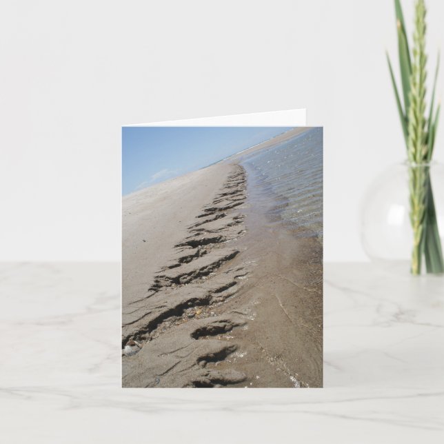 Tarjeta Isla Carolina del Norte Outer Banks del tiburón (Anverso)