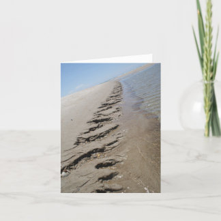 Tarjeta Isla Carolina del Norte Outer Banks del tiburón