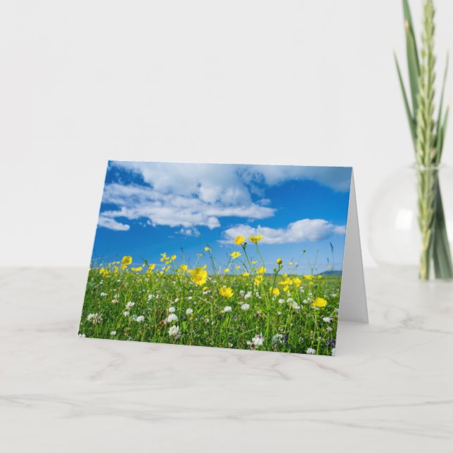 Tarjeta isla de Sudamérica | Escocia (Anverso)