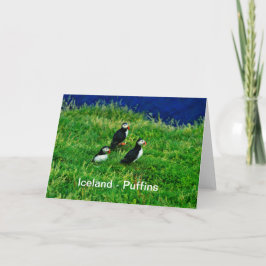 Tarjeta Islandia - Puffins