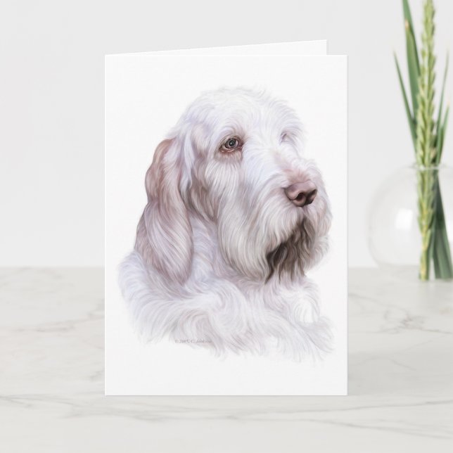 Tarjeta Italiano Spinone Italiano (Anverso)