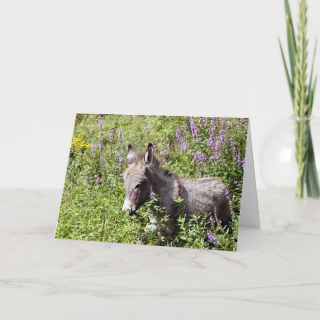 Tarjeta Itsy (Anverso)