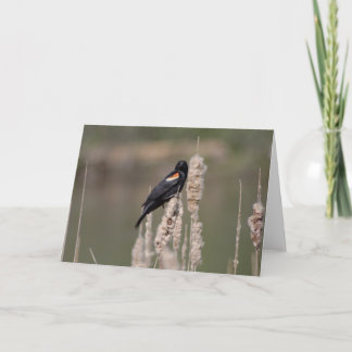 Tarjeta IV. Apenas un mirlo es también uno