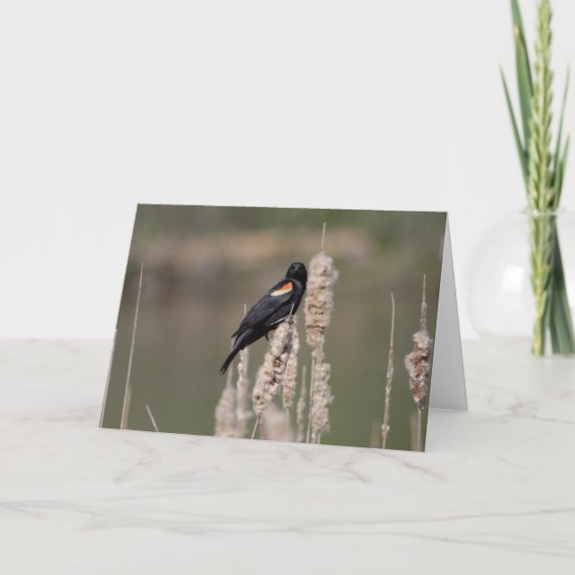 Tarjeta IV. Apenas un mirlo es también uno (Anverso)