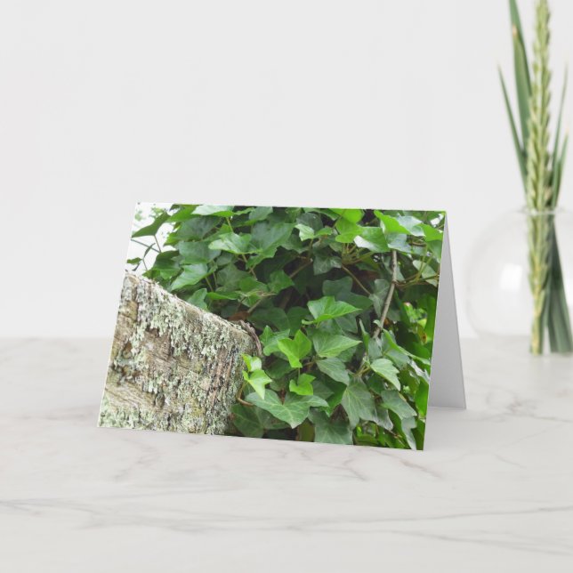 Tarjeta Ivy y Lichens - Viñedo de Martha (Anverso)