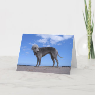 Tarjeta ixus 057 del canon