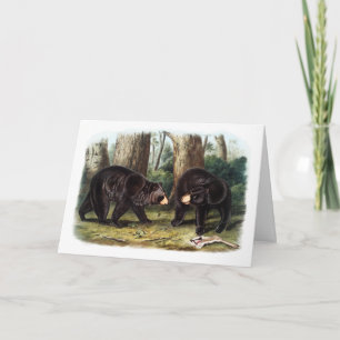 Tarjeta J.W. Audubon - Oso Negro Ursus Americanus