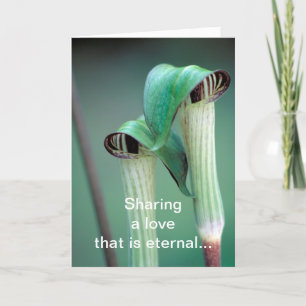 Tarjeta / Jack-in-the-pulpit