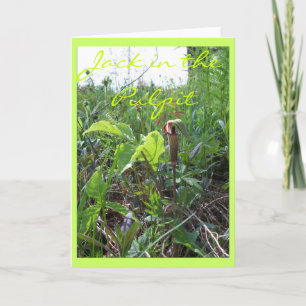 TARJETA JACK IN THE PULPIT II