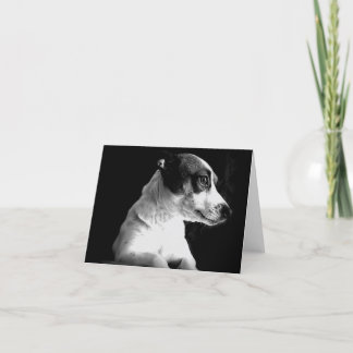 Tarjeta Jack Russell en pensamiento