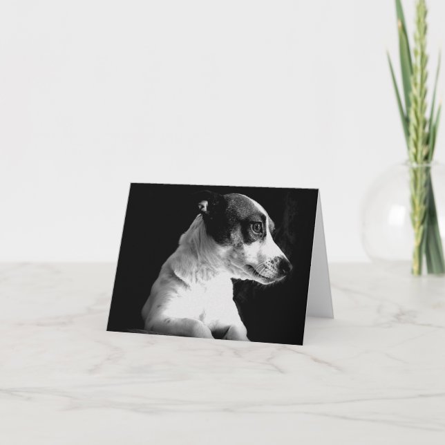 Tarjeta Jack Russell en pensamiento (Anverso)