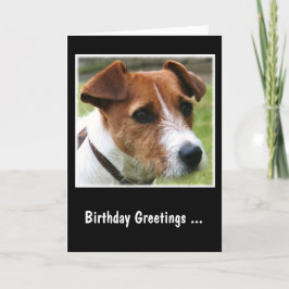 Tarjeta Jack Russell Terrier