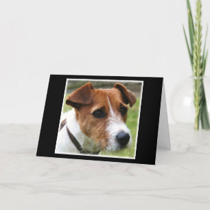 Tarjeta Jack Russell Terrier