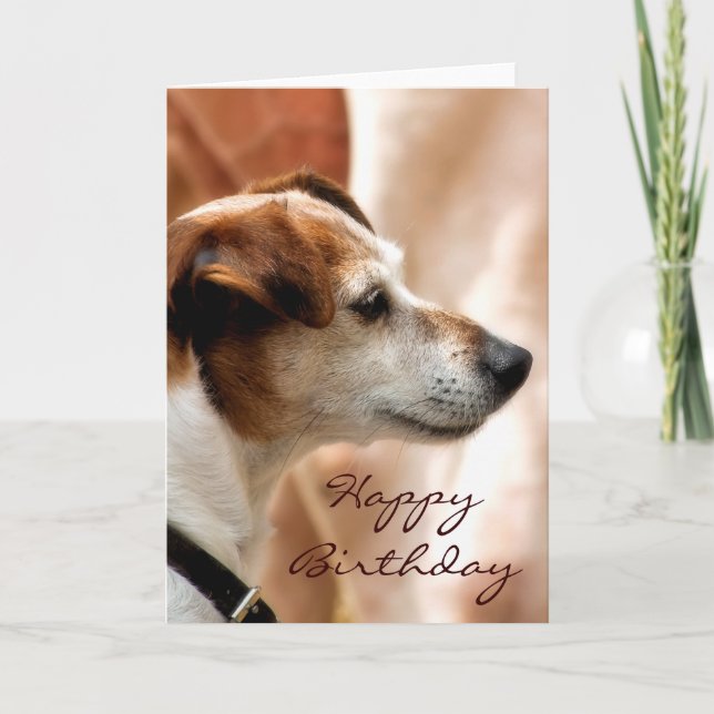 TARJETA JACK RUSSELL TERRIER DOG (Anverso)