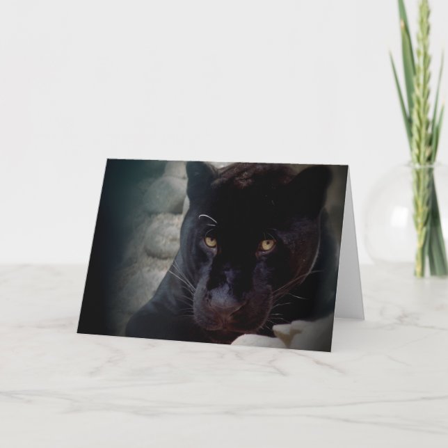 Tarjeta Jaguar (Anverso)