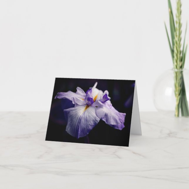 Tarjeta Japanese Iris Beauty Flower Photography Note (Anverso)