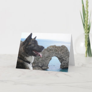 Tarjeta Japaness Akita