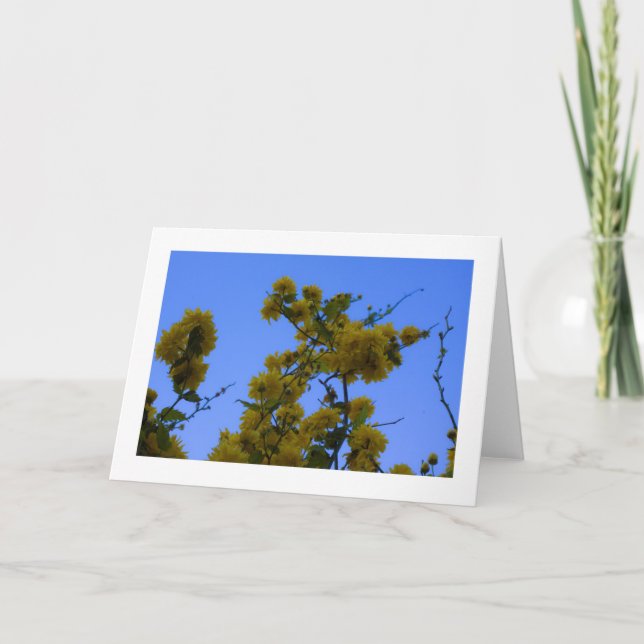 Tarjeta Japnonica (Anverso)