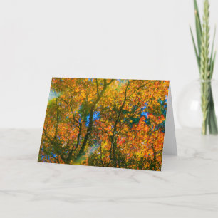 Tarjeta Jardín Botánico VanDusen Vancouver, Canadá