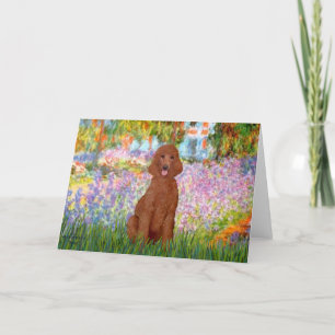 Tarjeta Jardín - Caniche Rojo Oscuro #1