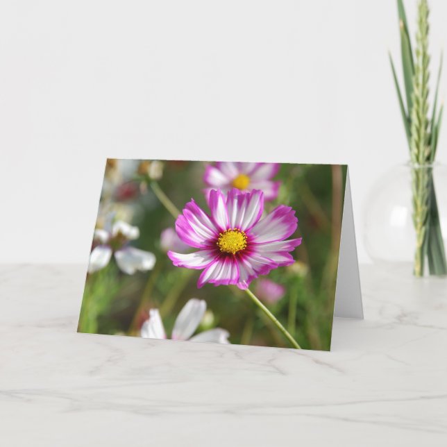 Tarjeta Jardín de cabañas, Rosalinde (Anverso)