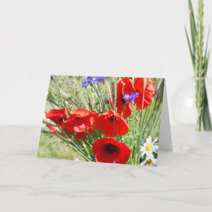 Tarjeta Jardín de campo, Rosalinde