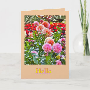 TARJETA JARDÍN DE DALIAS/ DALIAS ROSADAS Y DURAZNO/ "HOLA"