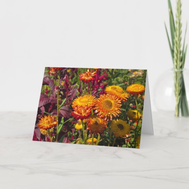 Tarjeta Jardín de flores (Anverso)