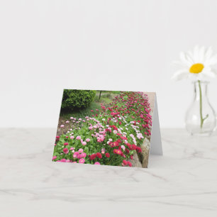 Tarjeta Jardín de flores rosadas