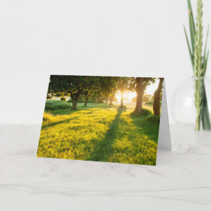 Tarjeta Jardín De Los Robes De Edén