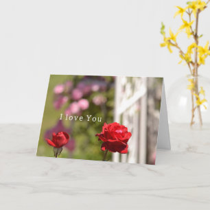 Tarjeta Jardín de Rosas Rojas Te Ama