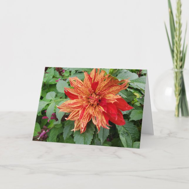 Tarjeta Jardín de verano (Anverso)