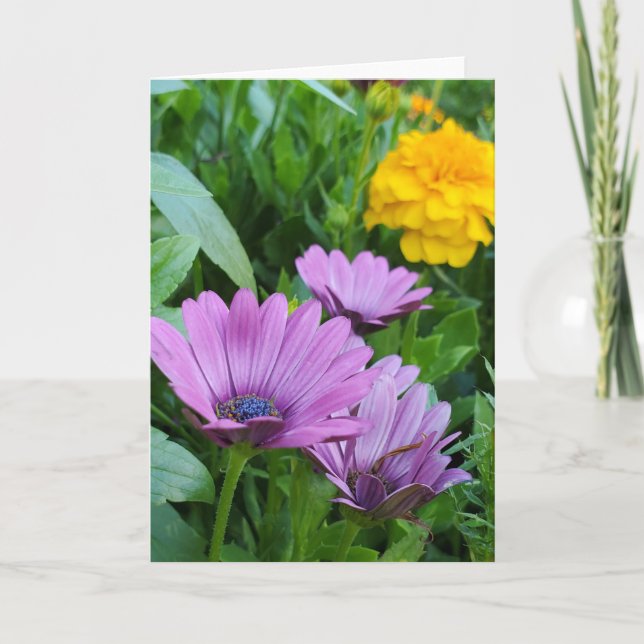 Tarjeta Jardín de verano (Anverso)