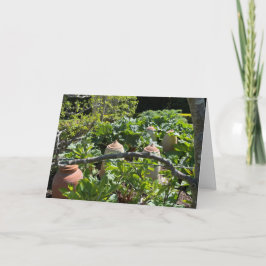 Tarjeta Jardín del campo con ollas de Rhubarb y Terracota