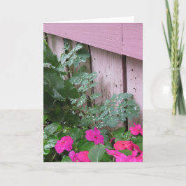 Tarjeta Jardín después de la lluvia - Viñedo de Martha