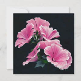 Tarjeta Jardín Hermoso Rosas Malva Rosa Flores
