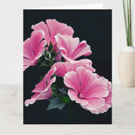 Tarjeta Jardín Hermoso Rosas Malva Rosa Flores