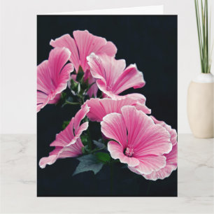 Tarjeta Jardín Hermoso Rosas Malva Rosa Flores