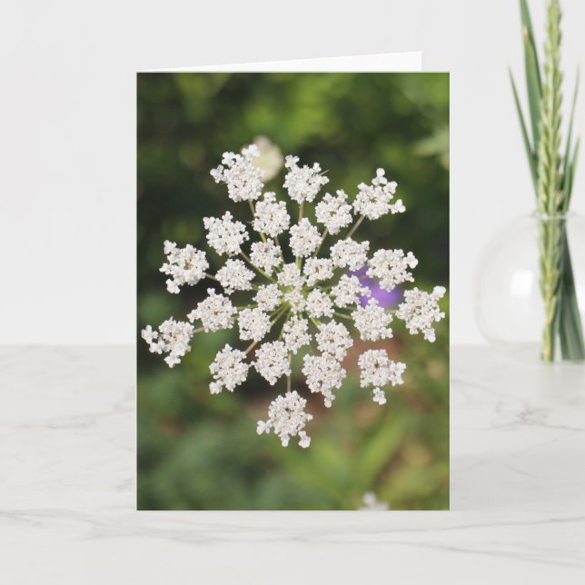 Tarjeta Jardín O Weedin Hablando Cañones, Nuevo México (Anverso)