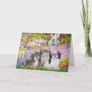 Tarjeta Jardín - Shih Tzus (tres)