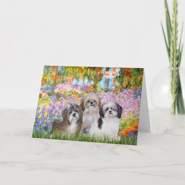 Tarjeta Jardín - Shih Tzus (tres) (Anverso)
