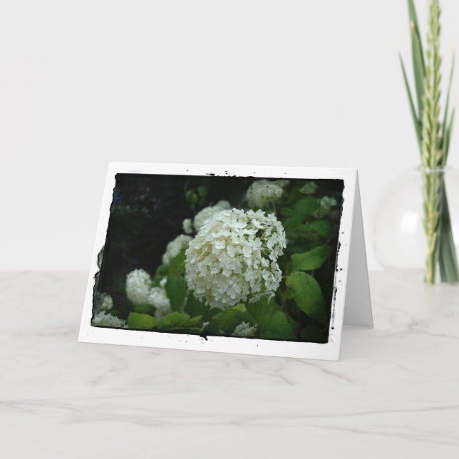 Tarjeta Jardines de Suecia (Anverso)