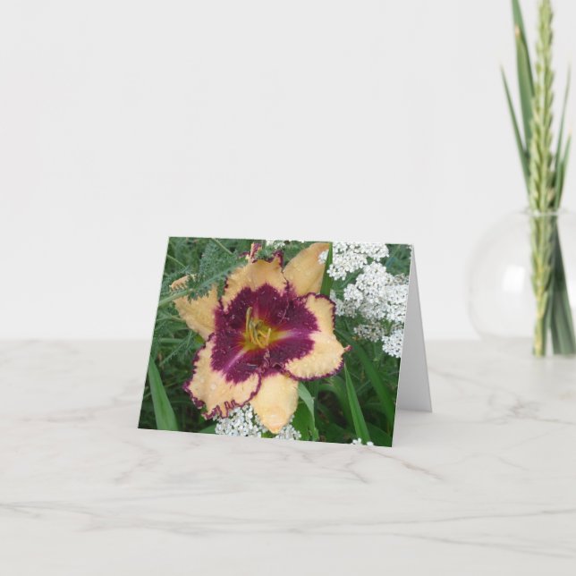 Tarjeta Jardines Notecard - Daylily 'Sabine Baur' (Anverso)