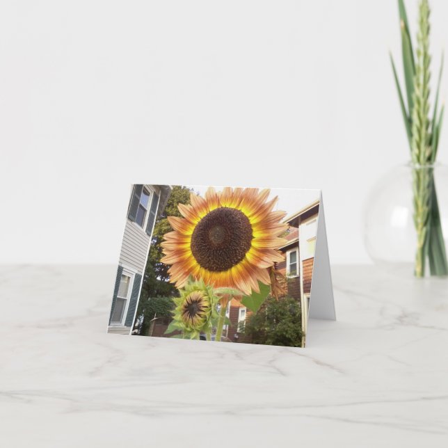 Tarjeta Jardines urbanos Notecard (Anverso)