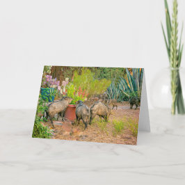 Tarjeta Javelinas en la Casita