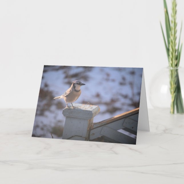 Tarjeta Jay azul (Anverso)