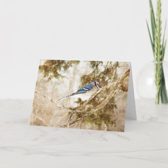 Tarjeta Jay azul, cumpleaños (Anverso)