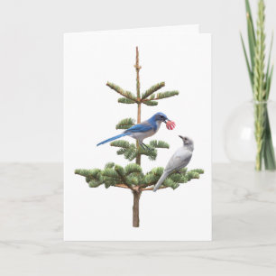 Tarjeta Jays Christmas Tree Card